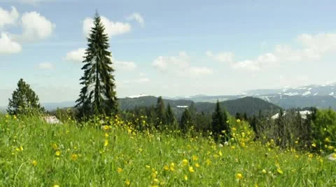 Meadow in wind with view to the alps in Austria Stock Footage 11516270