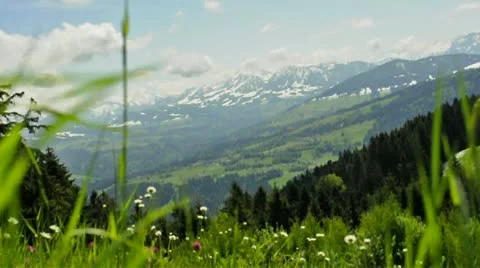 Meadow in wind with view to the alps in Austria Stock Footage 11516294