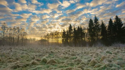 Meadow at winter. 4k Time-lapse landscape Stock Footage 87156011