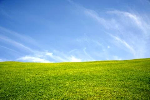meadow withsky