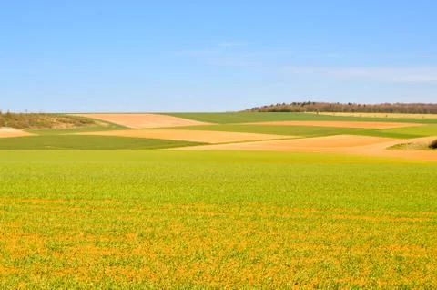 Meadows and crops Stock Photos
