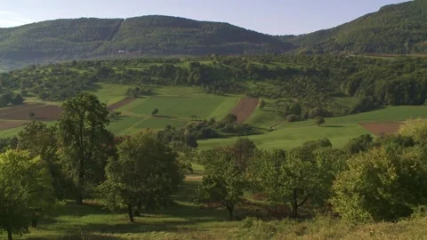 Meadows and fields on gentle hills at end of summer Stock Footage 315428971
