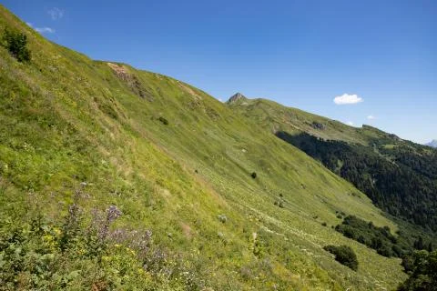 Meadows and fields. Mountain landscape with green grass and sky on sunny days Stock Photos