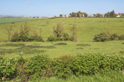 Meadows and fields at the Opal Coast Stock Photos