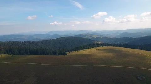 Meadows And Forests On The Mountain Peak 動画素材 95749678