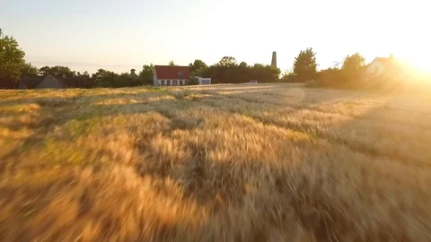 Meadows and kite-flying are seen at the Borderland Festival in Denmark. Stock Footage 129443728