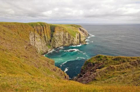 Meadows and ocean cliffs Stockfoto's