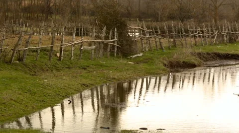 Meadows and reflections on the lake Stock Footage 58496161