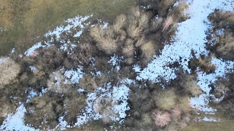 Meadows and trees as snow melts Stock Footage 167237706