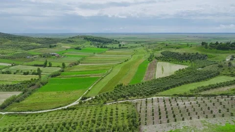Meadows, Farms and Fields over Torquay from a drone, Devon, England Stockbeeldmateriaal 276509975