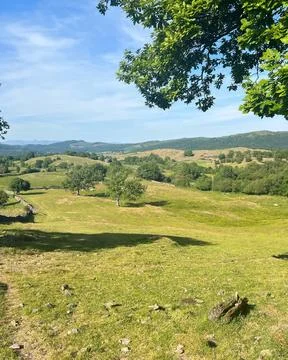 Meadows, Fields And Valleys Of The Lake District, Sunny Day 库存照片