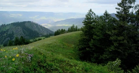 Meadows filled with spring wildflowers from Graves Point, Hells Canyon, Idaho Stock Footage 86543258