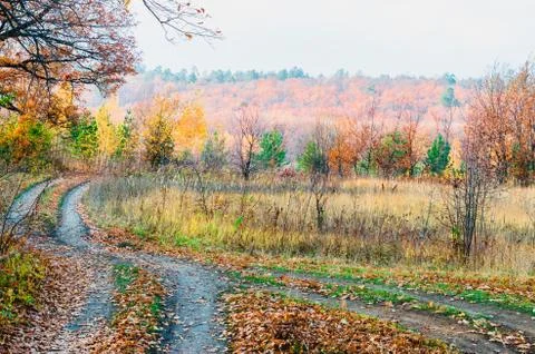 Meadows in the floodplain of the river in the autumn Stock Photos