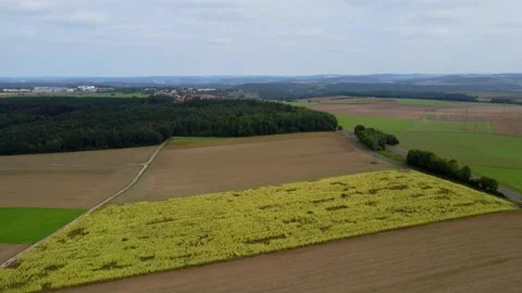 Meadows, forests and fields top view 動画素材 171759128