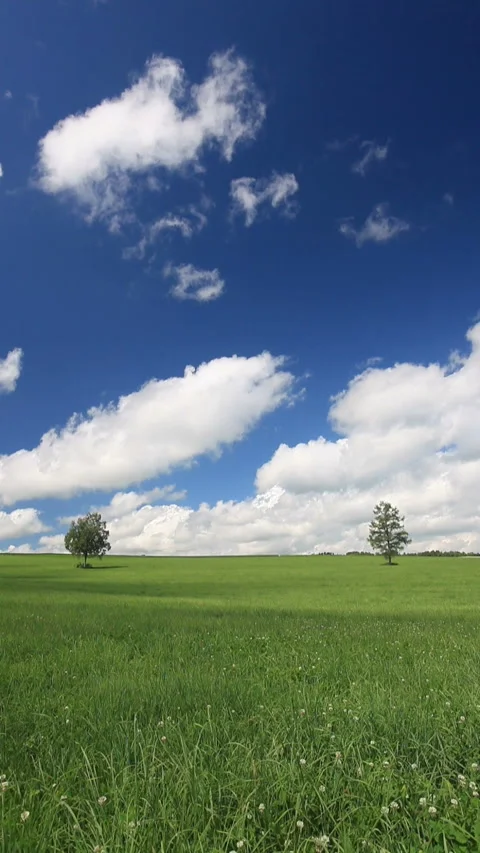 Meadows, Groves, and Flowing Clouds Vídeo Stock 330244497