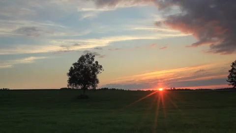 Meadows, Groves, and the Rays of the Setting Sun Видео 330244346