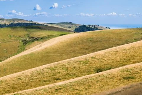 Meadows in the mountains create sinuous lines. Stock Photos