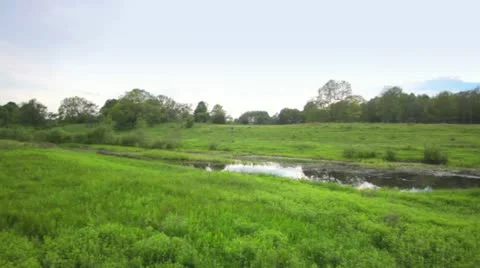 Meadows pan shot Stock Footage 11518960