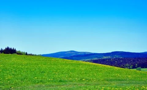 Meadows Stock Photos