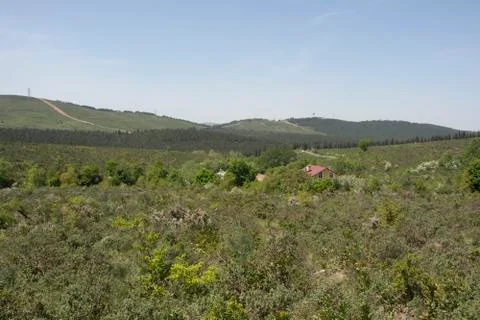 Meadows Stock Photos