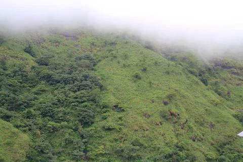 The Meadows Stock Photos