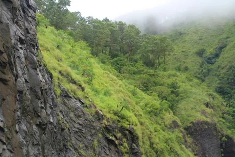 The Meadows Foto stock
