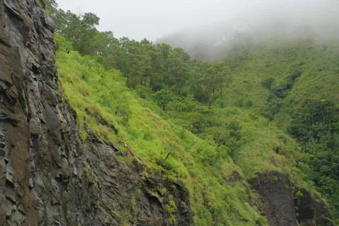 The Meadows Stock Photos