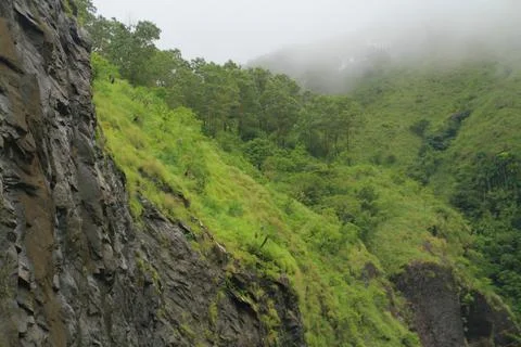 The Meadows Stock Photos