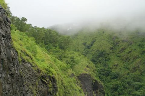 The Meadows Stock Photos