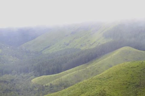 The Meadows Stock Photos