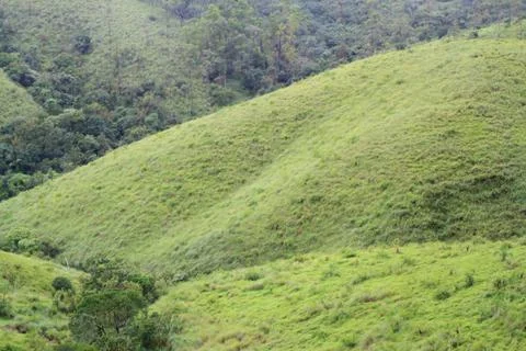 The Meadows Stock Photos