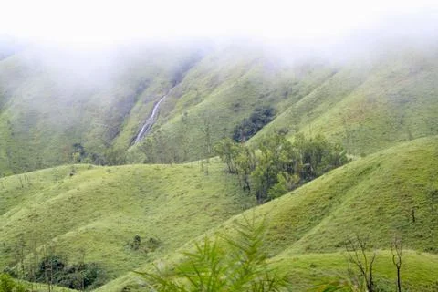 The Meadows Stock Photos