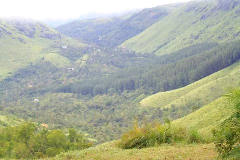 The Meadows Stock Photos