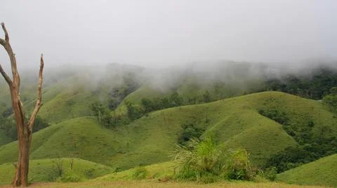The Meadows Stock Photos