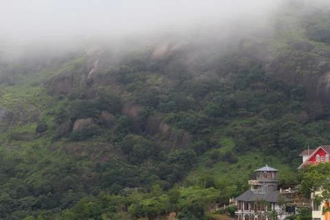 The Meadows Stock Photos