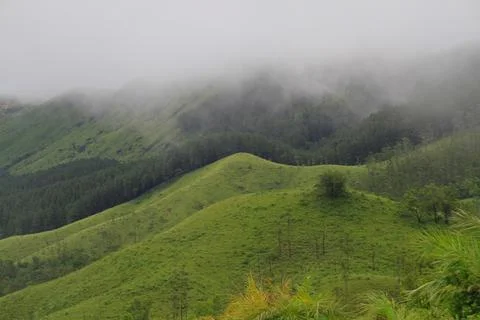 The Meadows Stock Photos
