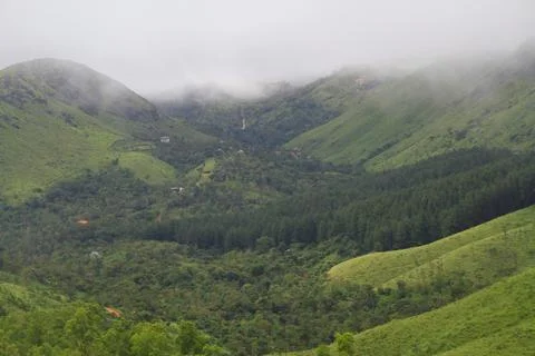 The Meadows Stock Photos