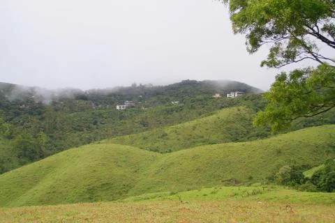 The Meadows Stock Photos