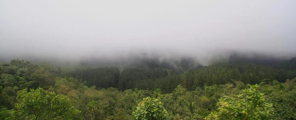 The Meadows Stock Photos