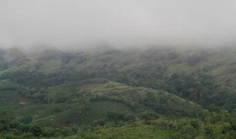 The Meadows Stock Photos