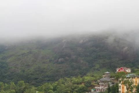 The Meadows Foto stock