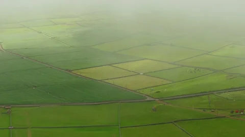 Meadows of Terceira Island Stock Footage 165607934
