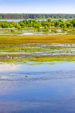 Meadows under a clear spring sky Stock Photos
