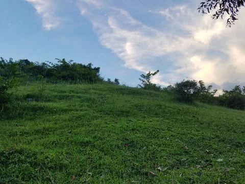 Meadows Under Sky Stock Photos