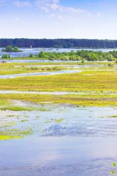 Meadows under the spring sky Stock Photos