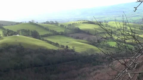 Meadows in The Wind Video stock 10715819