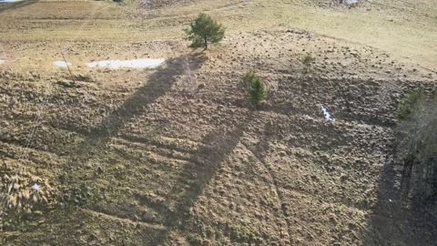 Meadows without snow. Winter Stock Footage 167236604