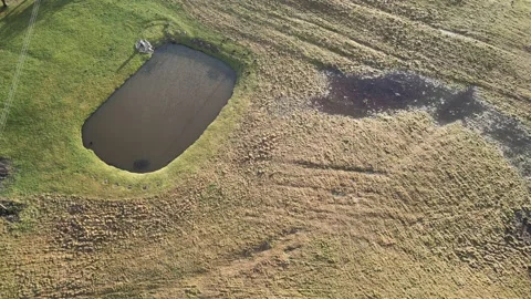 Meadows without snow. Winter Stock Footage 167237620