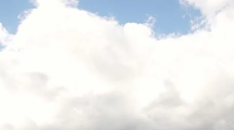 Meadowsweet, sky 스톡 동영상 40251013