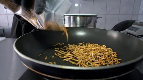 Mealworms fried in pan Stock Footage 83463150